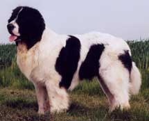 CH. Meyrhos du domaine de Val Kurlande