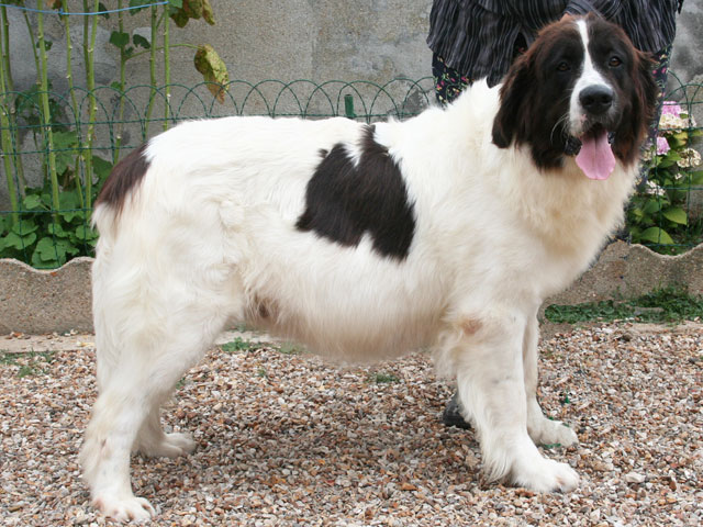 Gweyndhie du domaine de Val Kurlande