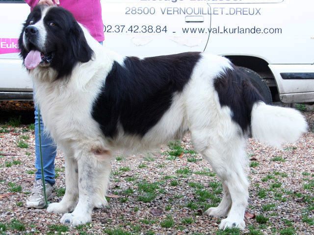 Eethy du domaine de Val Kurlande