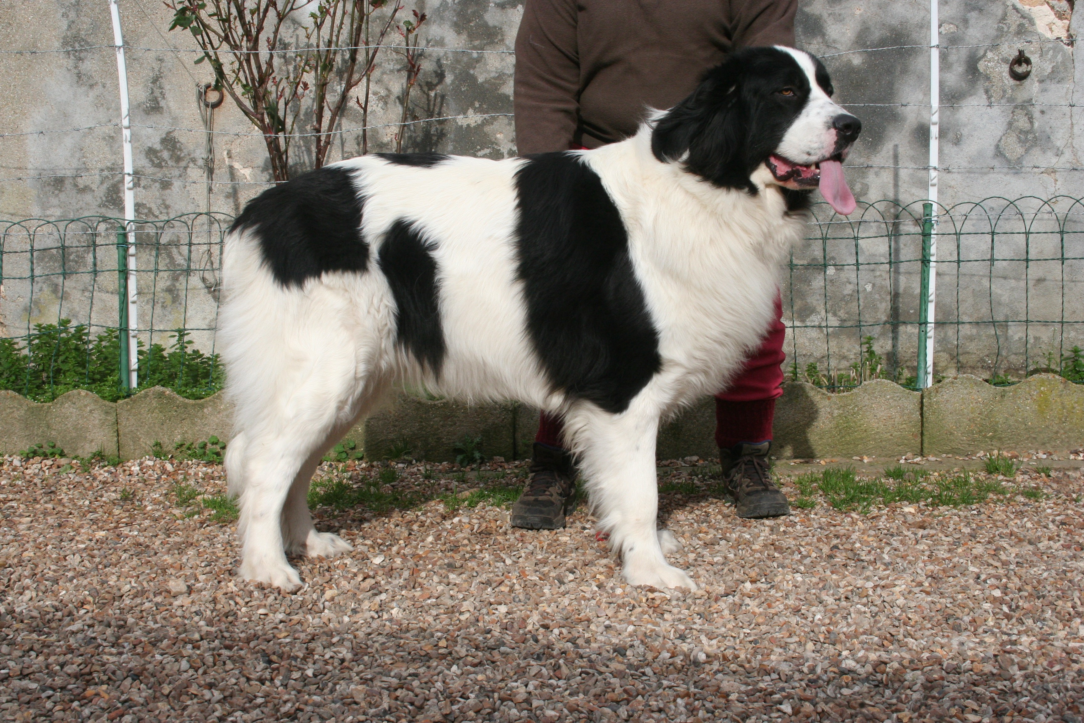 Jholyane a miracle baby du domaine de Val Kurlande